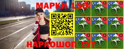 хмурый Кингисепп