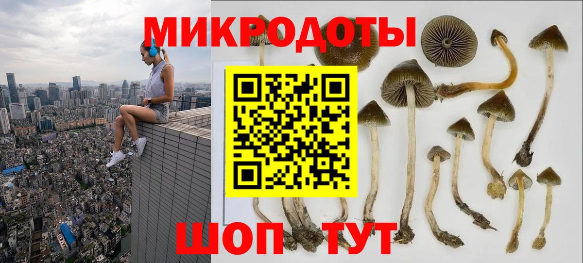 Галлюциногенные грибы прущие грибы  Галлюциногенные грибы Psilocybine cubensis  Электрогорск  Вход с VPN 