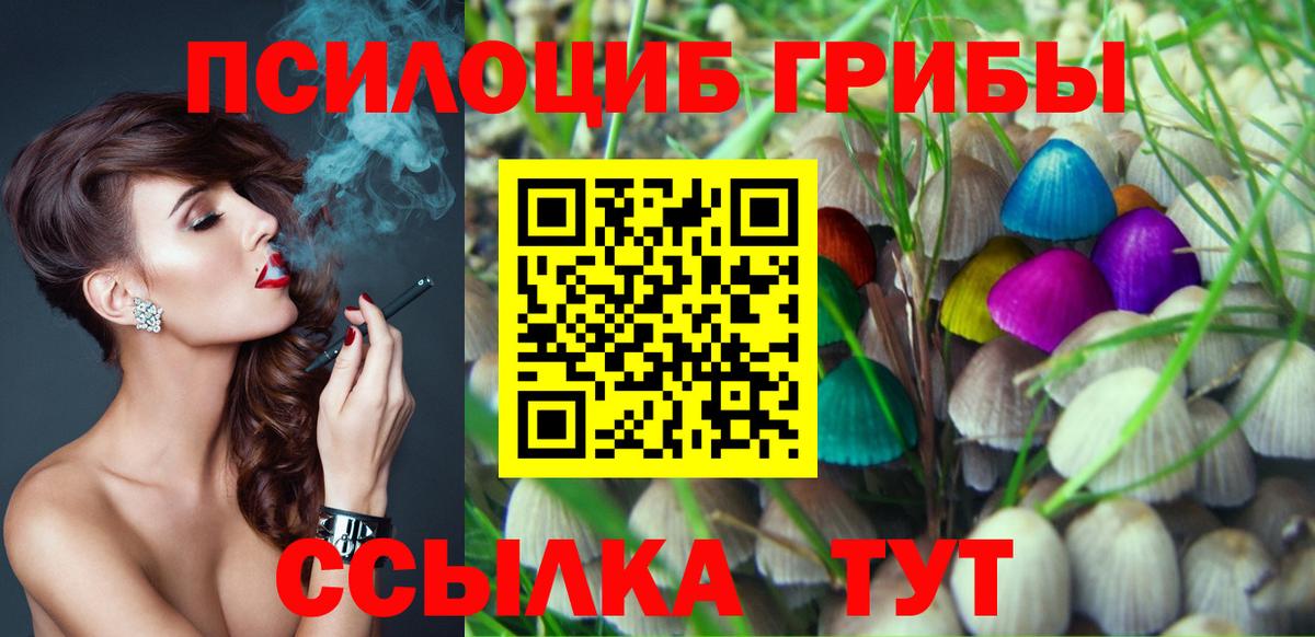 Галлюциногенные грибы Psilocybe Электрогорск